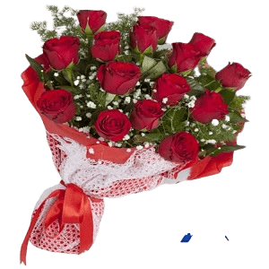 Aşkıma Kırmızı Güller